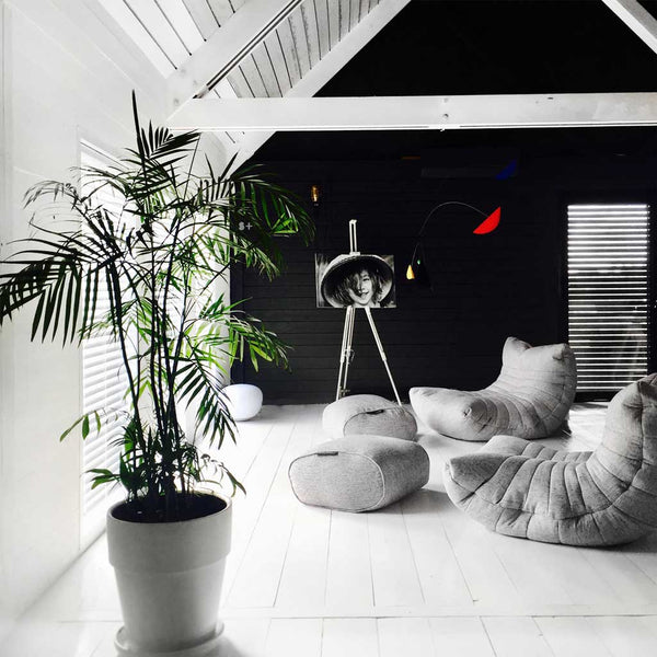 Acoustic Sofa Tundra Spring Innedørs saccosekk