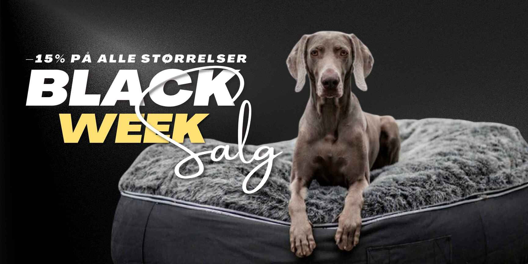 special banner image