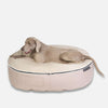 Hundeseng Sandstorm Thermo Quilt Beige L Hundeseng L