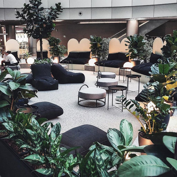 Evolution Sofa Black Sapphire Innedørs saccosekk