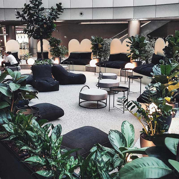 Evolution Chaise Package Sett Black sapphire Innedørs sett