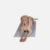 ThermoCool Kjølematte Hundeseng L Tilbehør