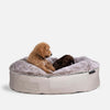 Hundeseng Sandstorm Cappuccino L Hundeseng L
