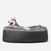 Hundeseng Supernova Gray Wolf L Hundeseng L