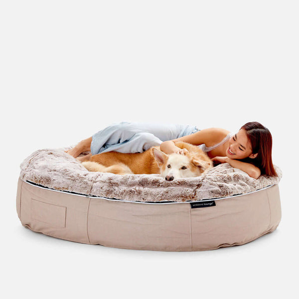 Hundeseng Sandstorm Cappuccino XL Hundeseng XL