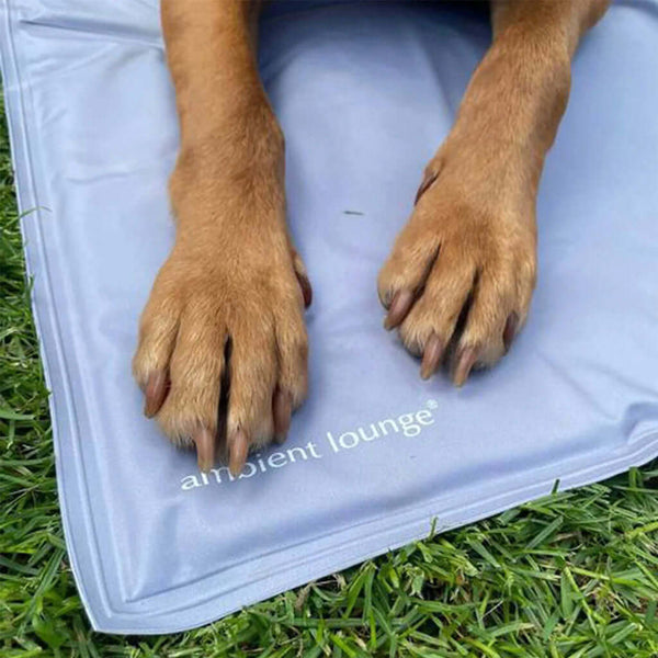 ThermoCool Kjølematte Hundeseng L Tilbehør