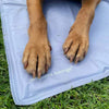 ThermoCool Kjølematte Hundeseng L Tilbehør